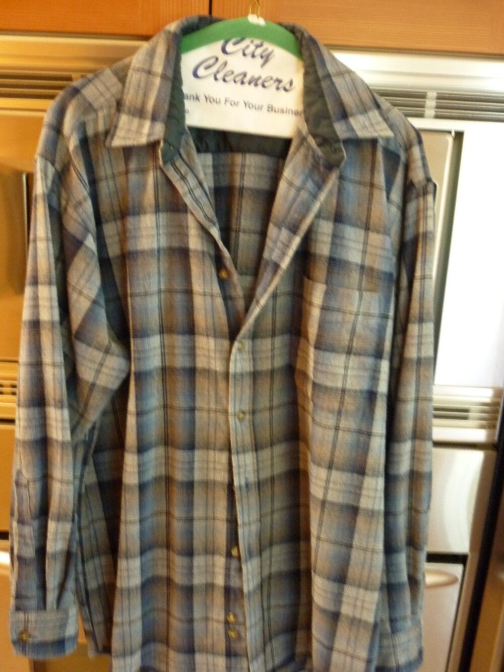 Pendleton Shirt